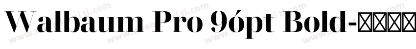 Walbaum Pro 9ópt Bold字体转换
